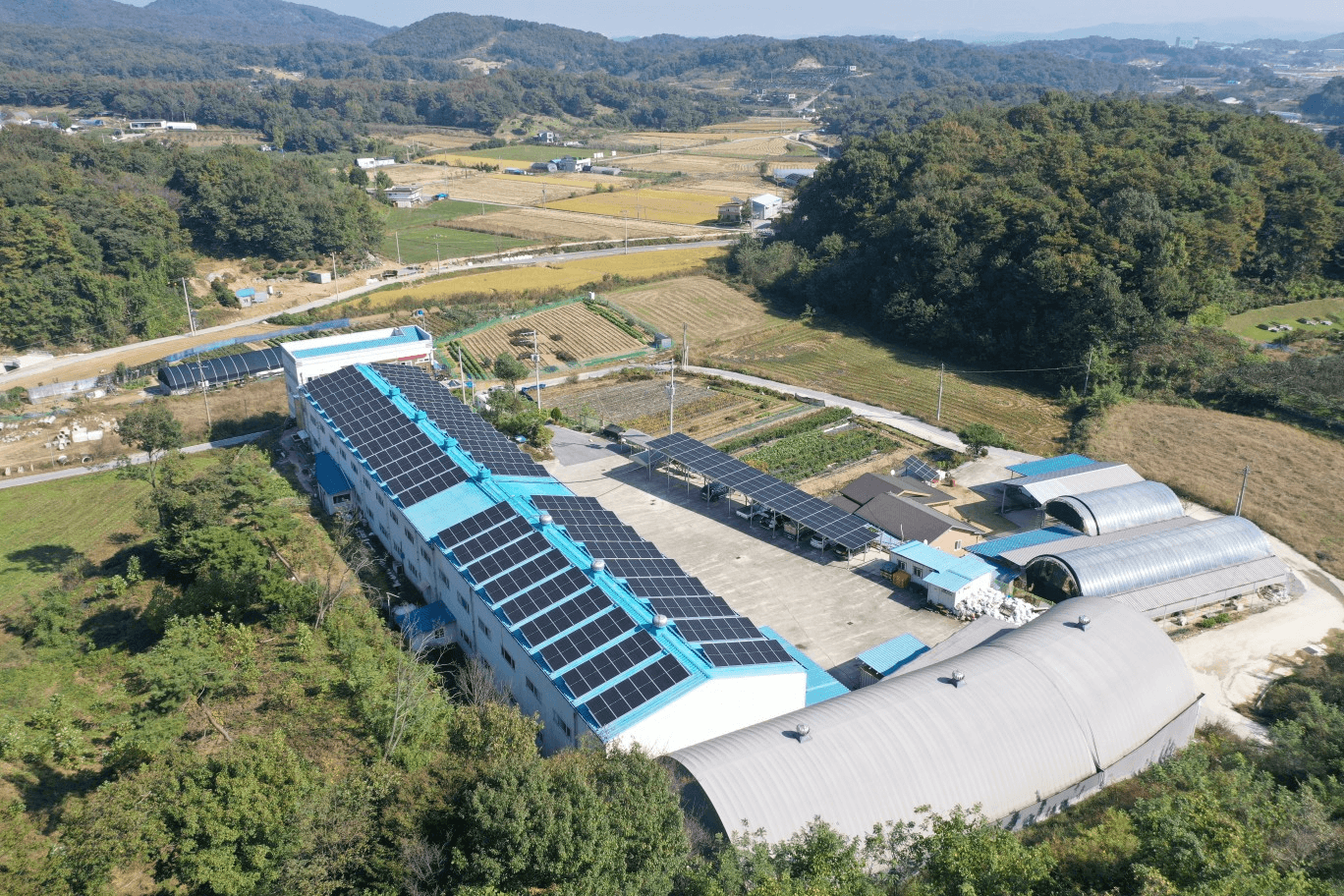 세종특별자치시 **